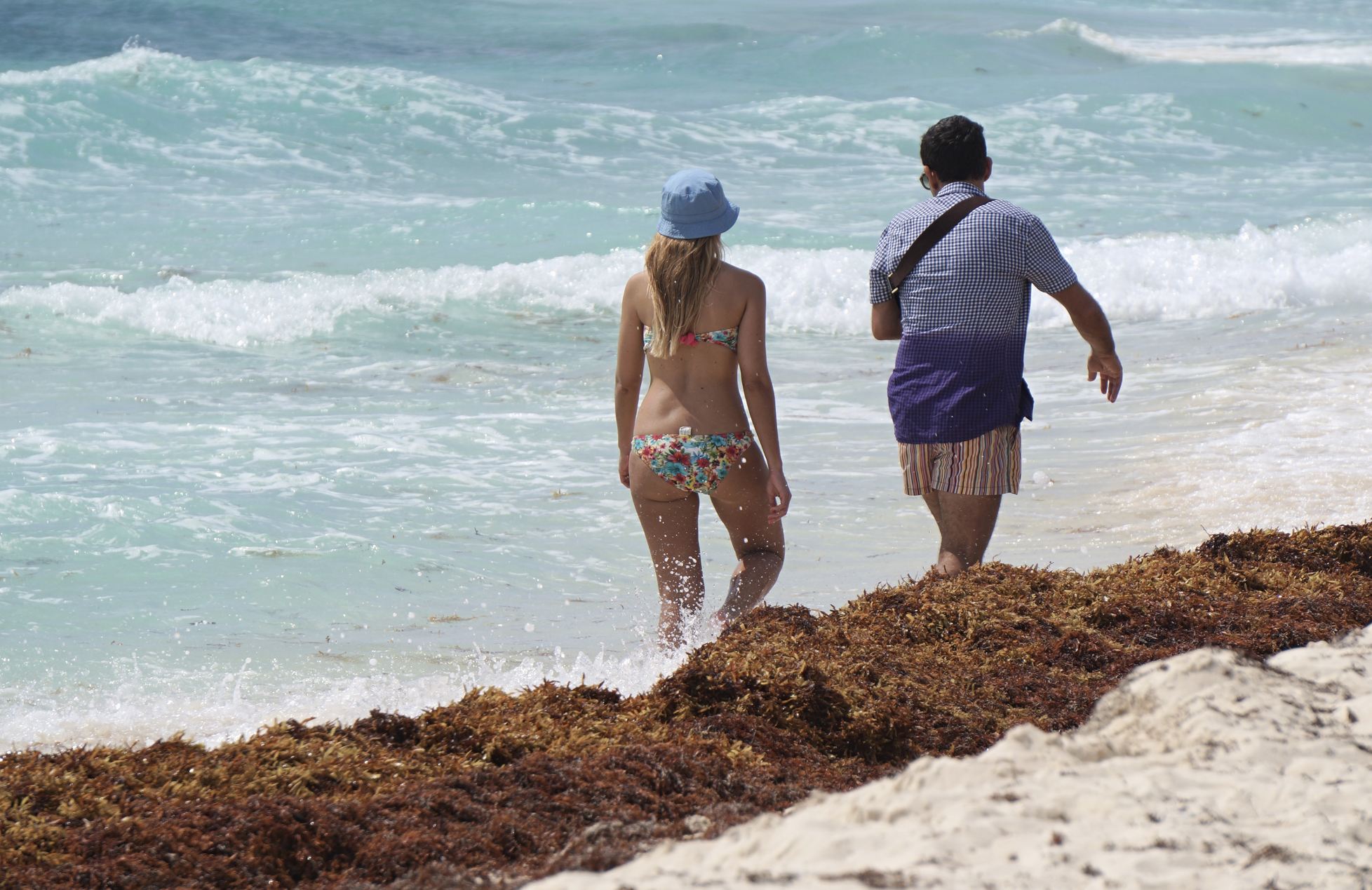 Los turistas caminan por la costa con sargazo