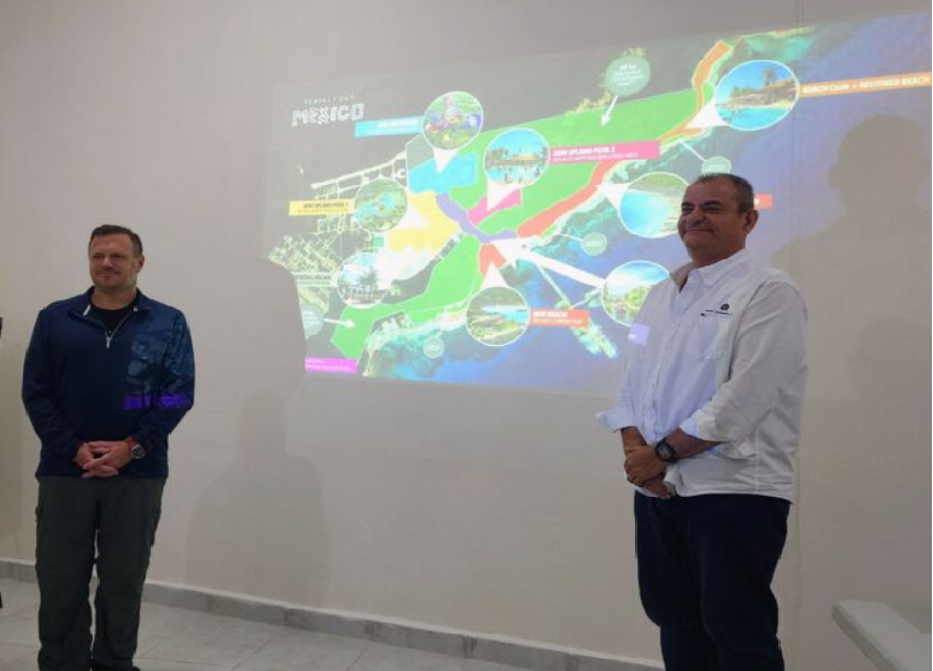 Royal Caribbean planea limpieza de manglares de Mahahual ya contaminados como parte de Perfect Day México