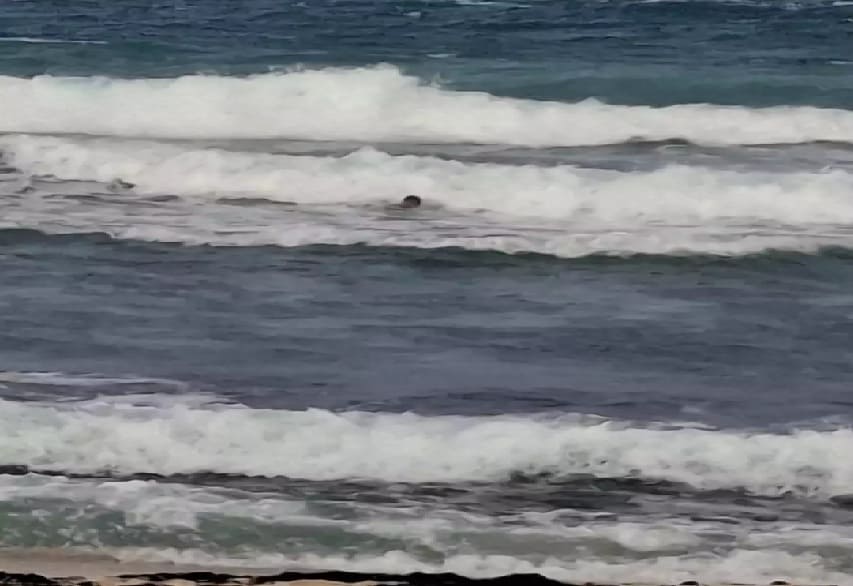 Jóvenes rescatados por Protección Civil fueron arrastrados al mar frente a Isla Mujeres