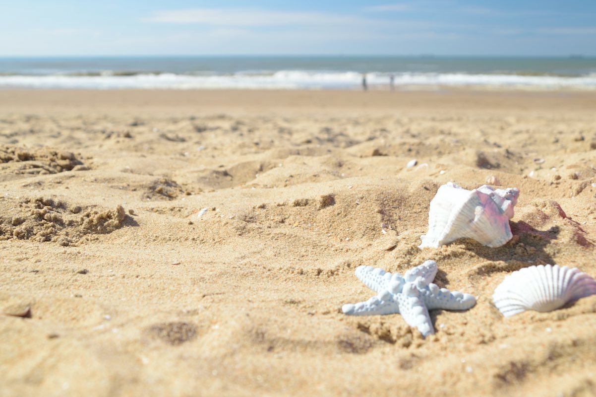 La limpieza masiva de las playas de Cancún garantiza que los viajeros disfruten de arenas libres de basura durante sus vacaciones