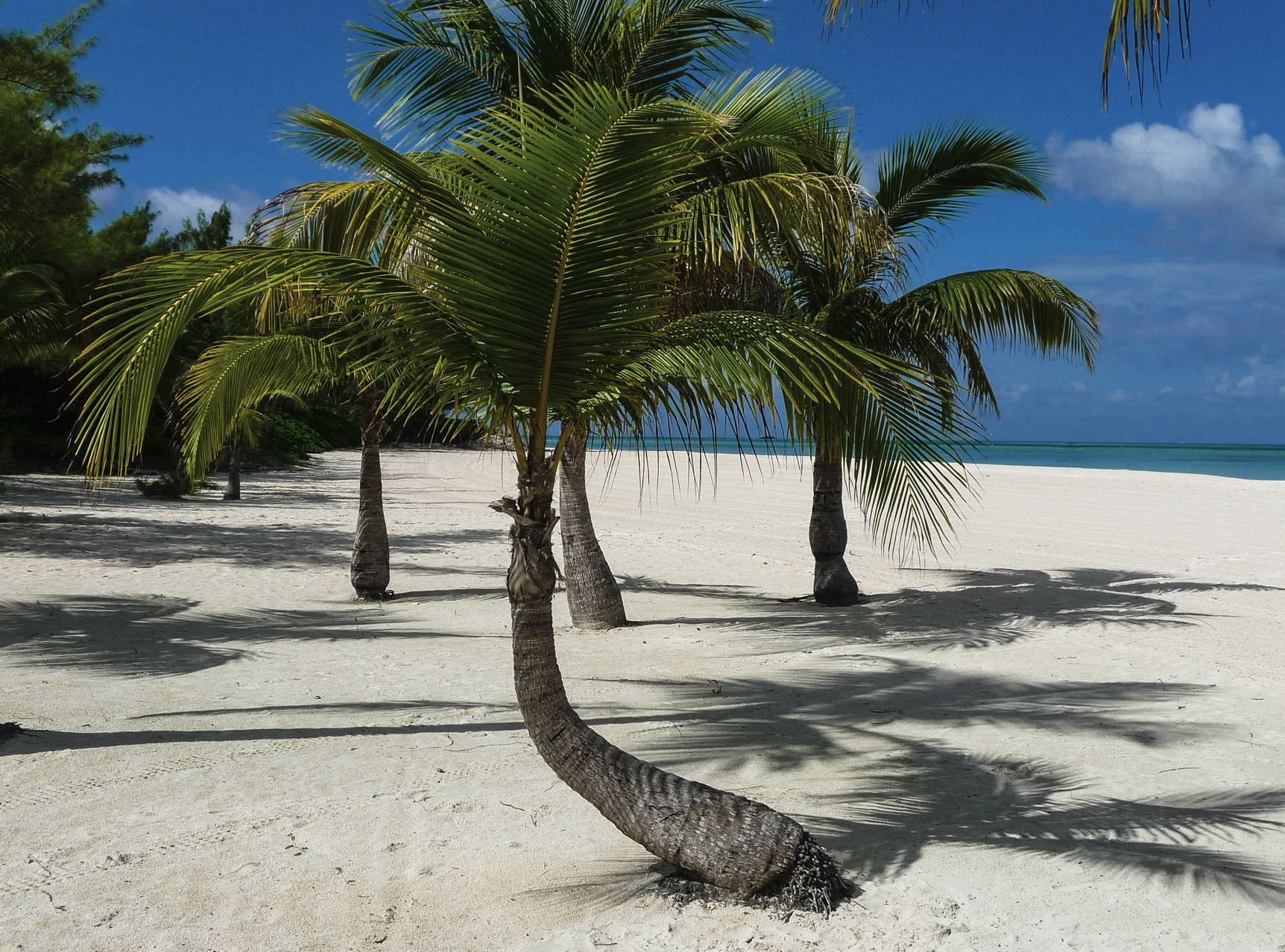 Isla Pasión