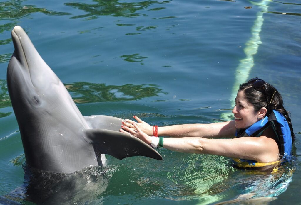 Bancarrota y arresto ¿Es seguro reservar Cancún Dolphin Discovery Parks ahora mismo?