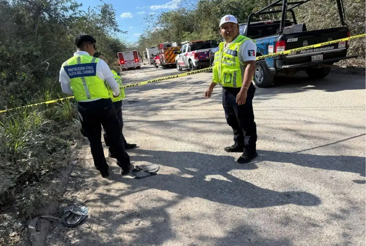 Conductor de camión volquete transportando sargazo triturado por vehículo durante inspección mecánica
