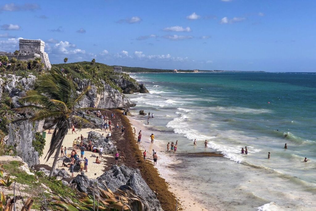 Estas son las 3 zonas que obtienen más sargazo en la Riviera Maya