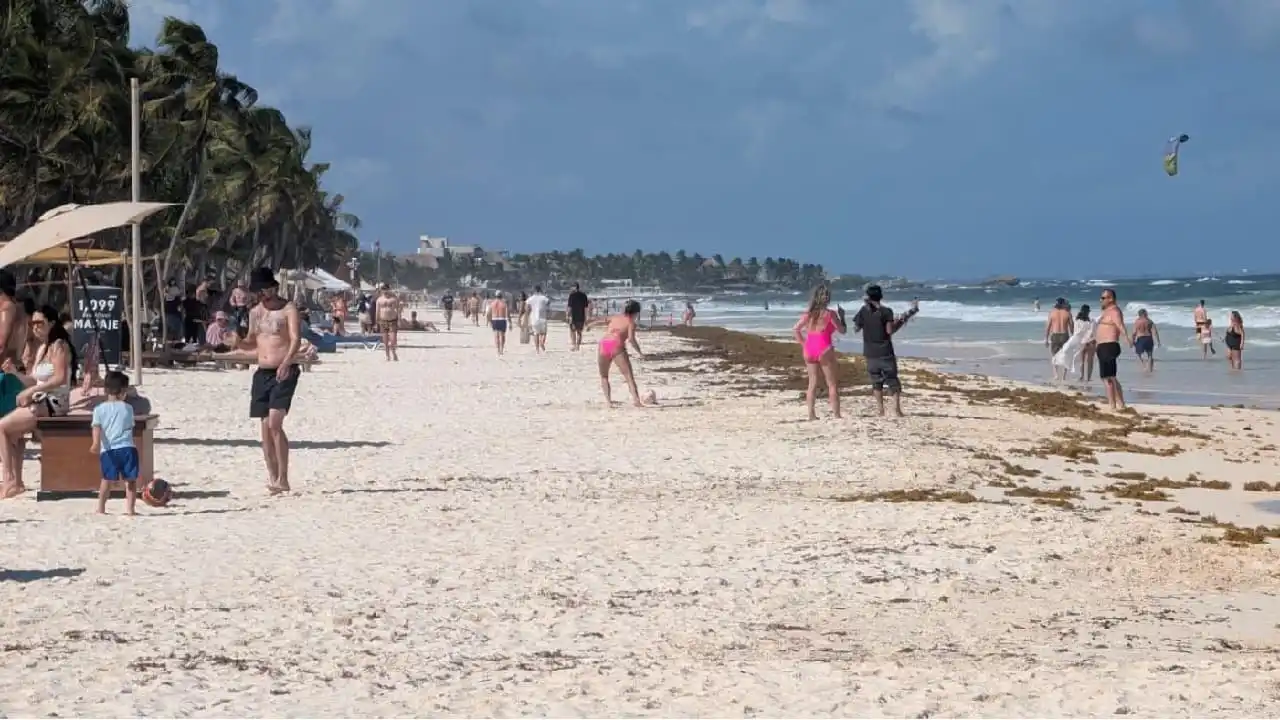 Tulum recolecta más de 1.200 toneladas de sargazo en lo que va de 2026