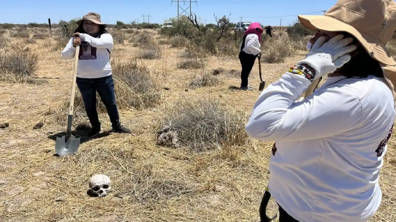 Grupo de búsqueda de desaparecidos encuentra cinco cadáveres en las afueras de poblado de Mahahual