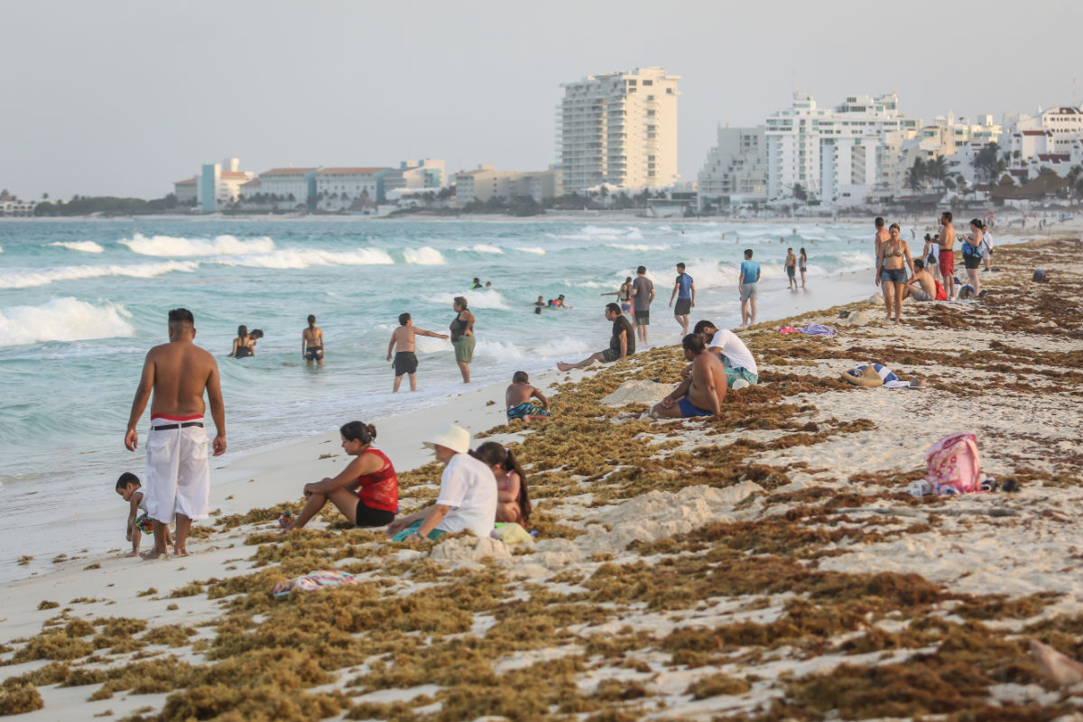 Sargazo en playa delfines en Cancún