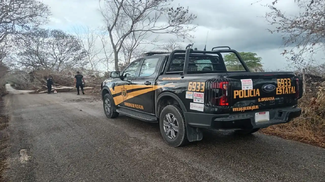 La policía de Cataluña abrió caminos bloqueados debido a árboles caídos el 29 de mayo de 2026.