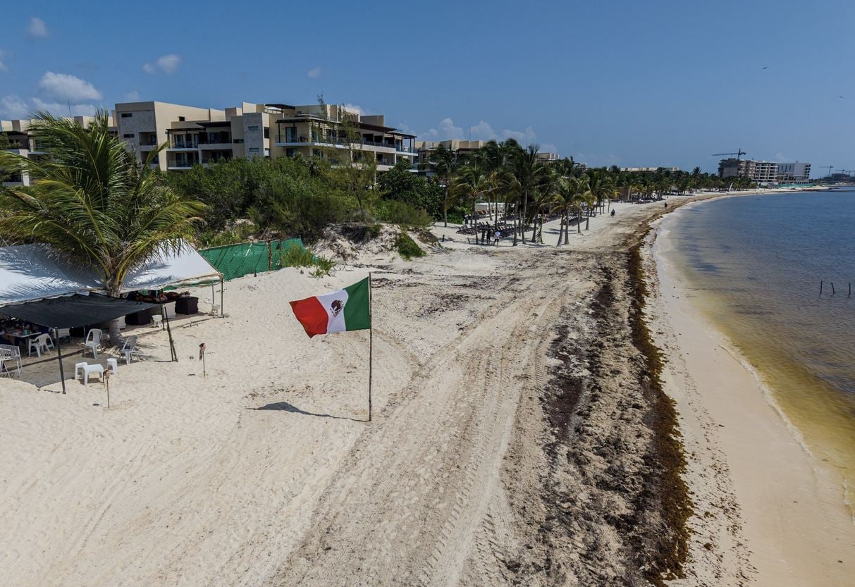 Cancún y la Riviera Maya luchan contra el sargazo a medida que se intensifica la temporada Lo que los viajeros necesitan saber