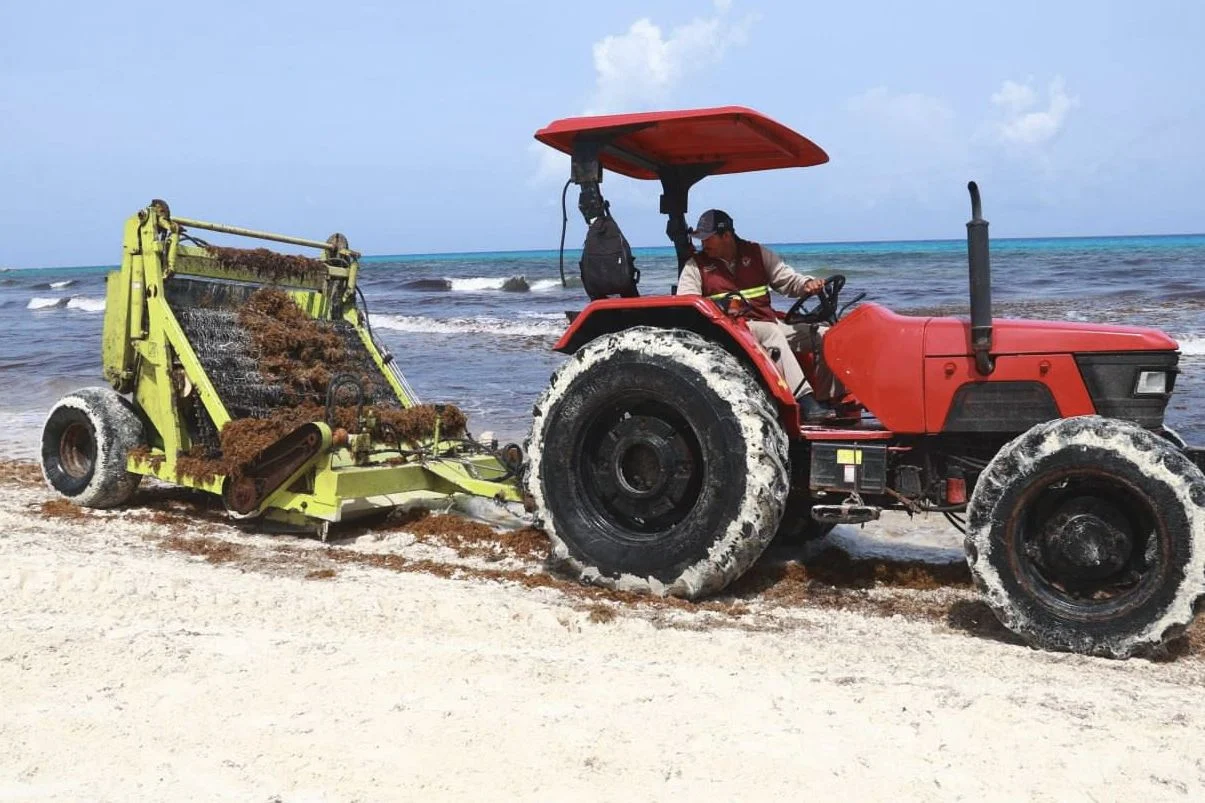 Estos son los 3 meses con menor sargazo en Cancún según nuevo informe