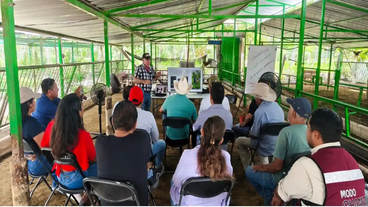 Sector agrícola del estado se reúne para promover alternativas sustentables para el uso del sargazo