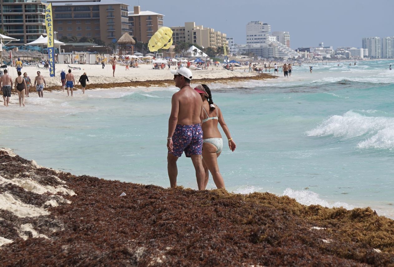 Un desglose semana a semana hasta el final de la temporada de sargazo en Cancún este mes