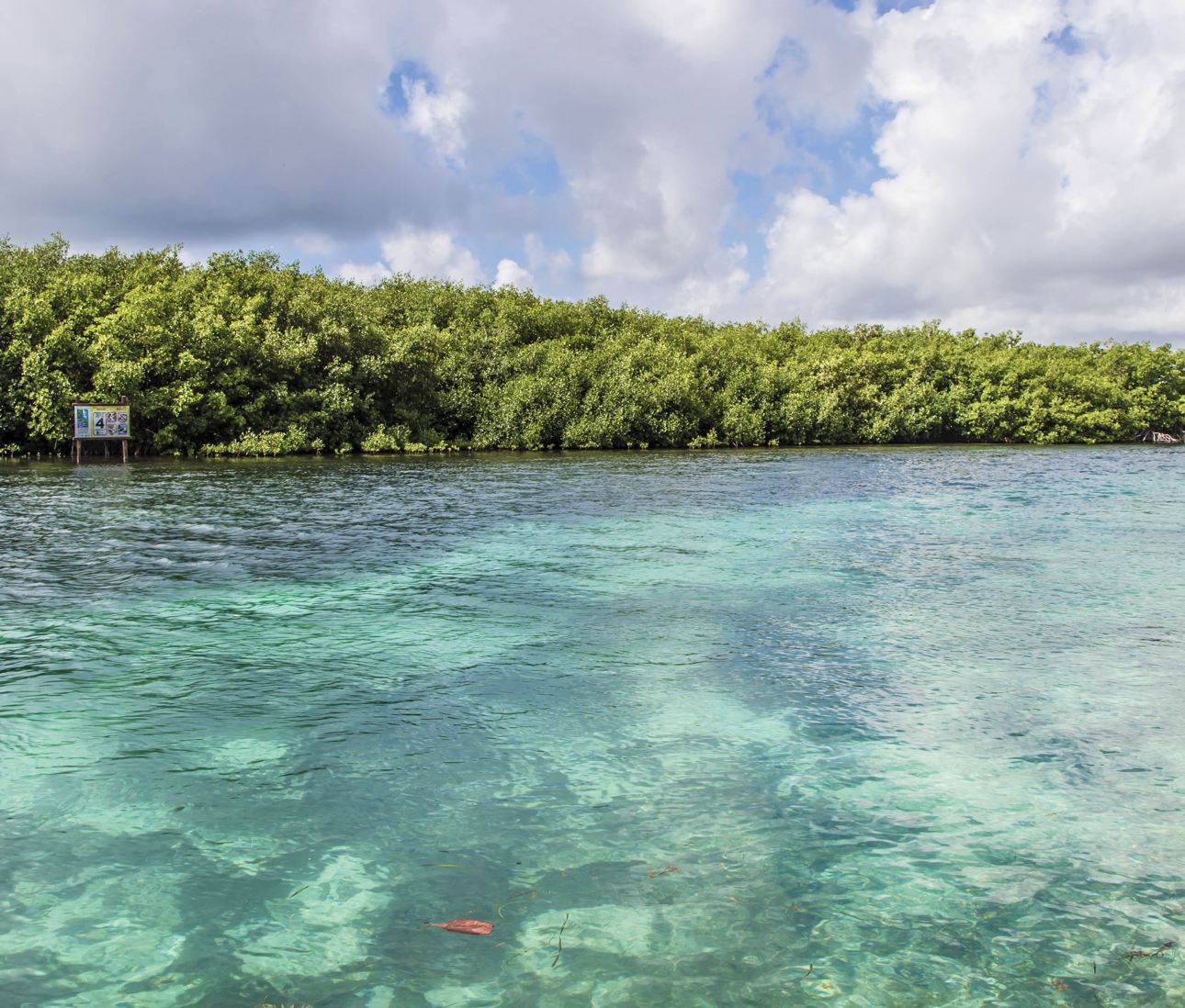 Laguna de Cancún