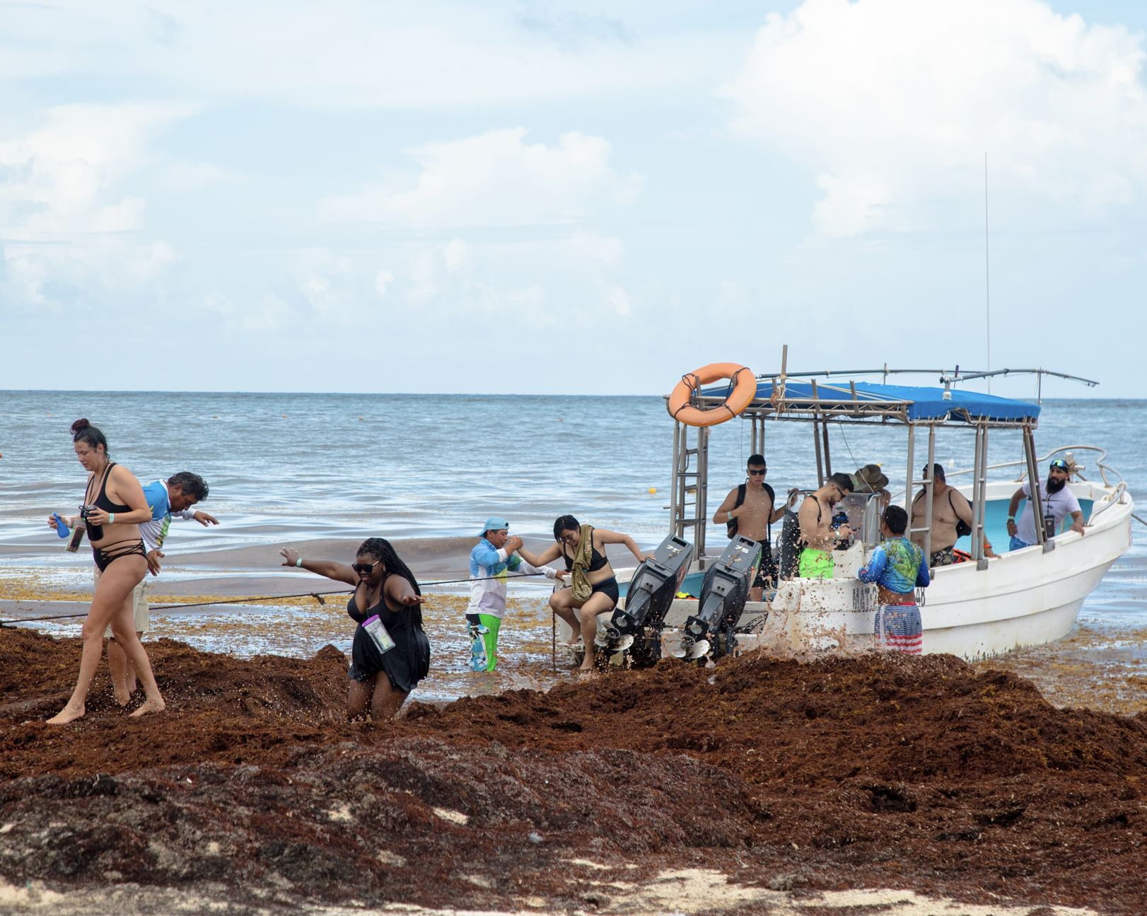 Los turistas caminan por Sargassum