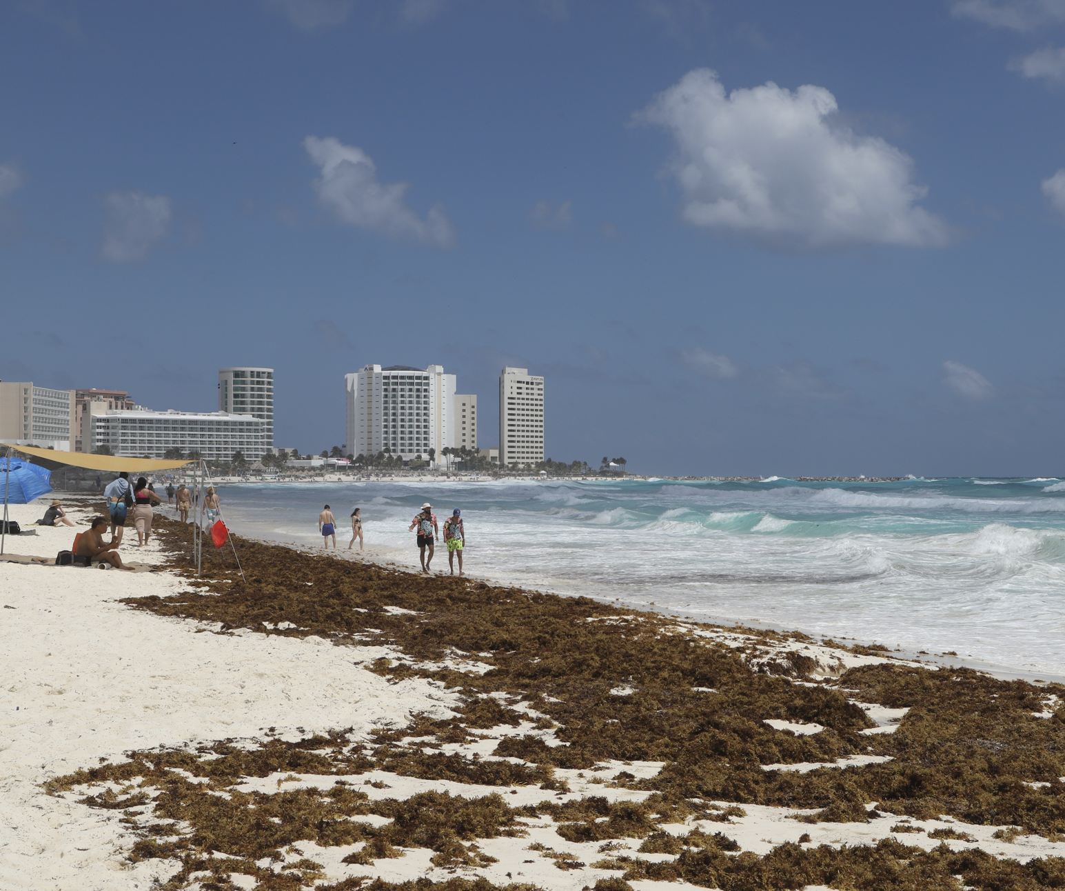 Cancún Sargassum en Hotel Zone Beach