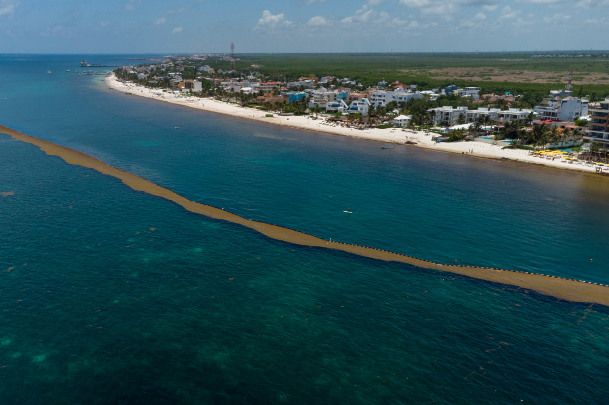 Pequeña barrera de Sargassum en Cancún, México