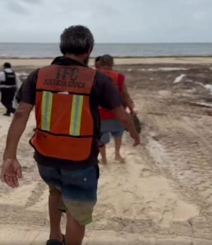 Los delincuentes eliminan a Sargassum como parte del programa de servicios comunitarios